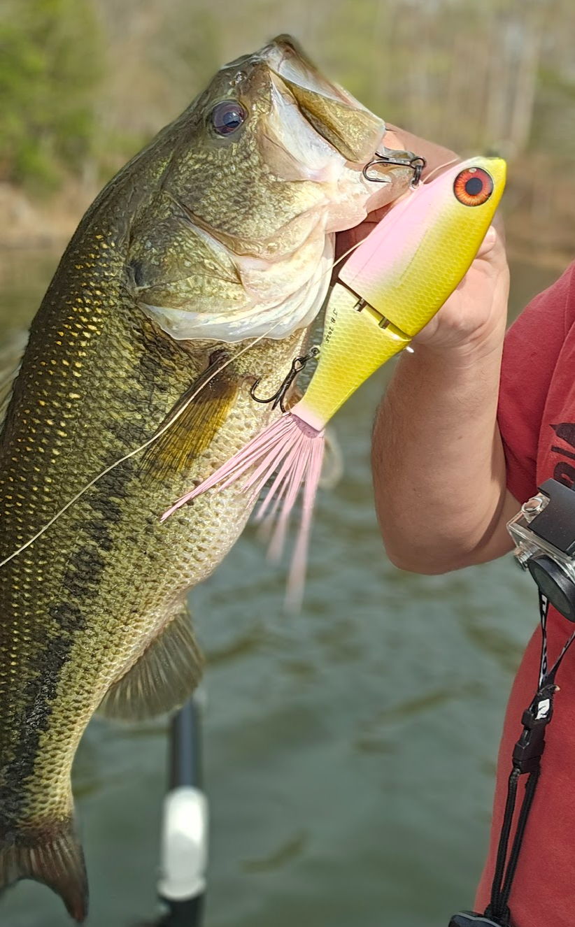 7” Switchblade - Jointed Glide Bait –  Pink Lemonade | JBF Lure Co.